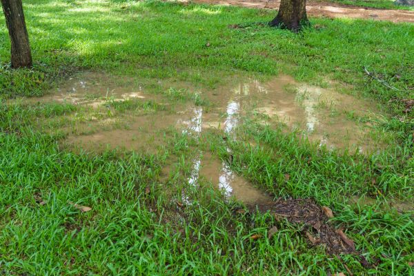 Cost of Storm Water Drainage Service in Brownsburg