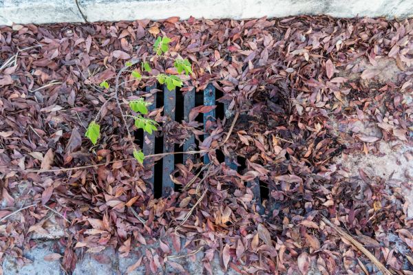Cost of Yard Drain Unclogging in Brownsburg