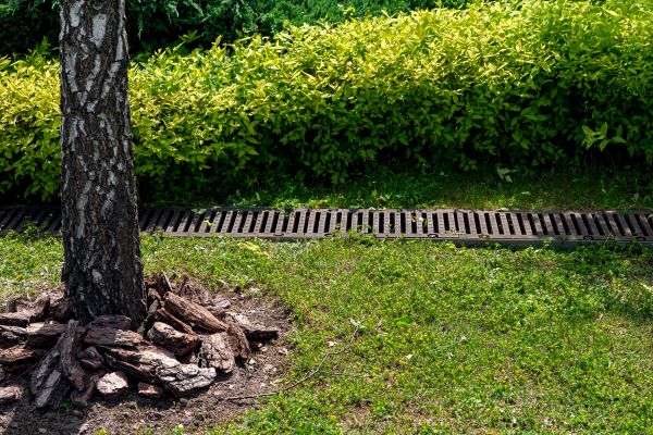 Cost of Wet Yard Drainage in Brownsburg