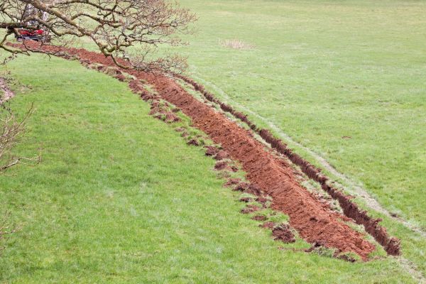 Cost of Swale Installation in Brownsburg