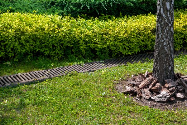 Cost of Residential Landscape Drainage in Brownsburg