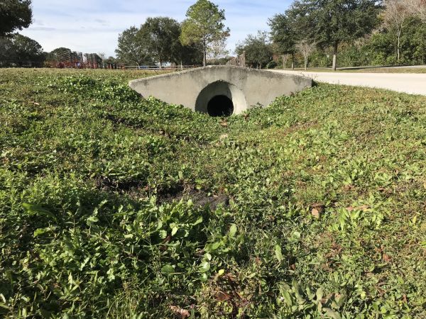 Cost of Swale Drainage Service in Brownsburg